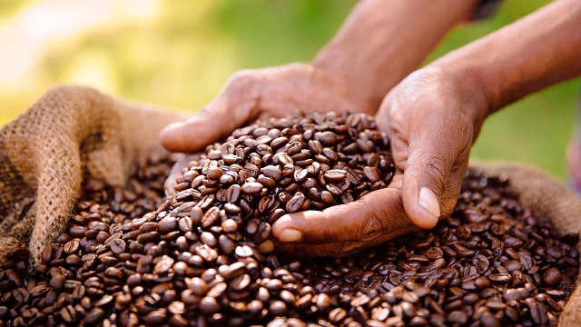 IFC and Absa to boost East Africa coffee trade with USmillion facility