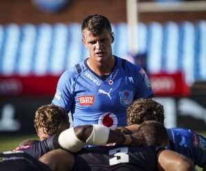 Elrigh Louw v Evan Roos? Springbok coach offers clarity!