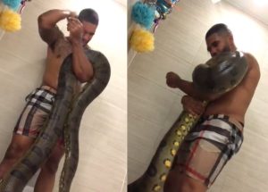 EISH WENA: Man showers with a large snake in his bathtub