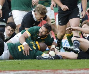 Springboks pull off brilliant fightback to beat All Blacks again