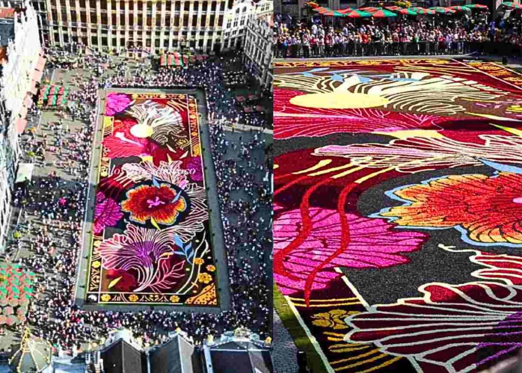 Brussels unveils record-breaking flower carpet to delight tourists