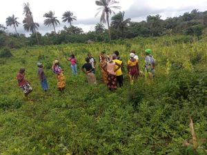 Liberia: WOCI And Partners Contribute To Responsible Agricultural Investment, Women And Youths Empowerment In Bomi County Through Low Land Farming Initiative