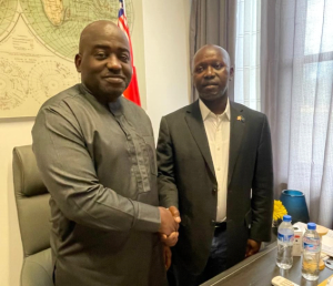 Liberia: ALCOD Supports Rep. Bility’s Push for Dual Citizenship without ‘Restrictions’