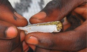 Police arrest 35 in Jinja city for drug abuse