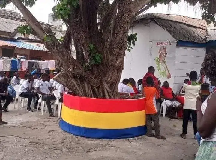 Hearts of Oak players visit cconic Oak Tree in preparation for 2024/25 season