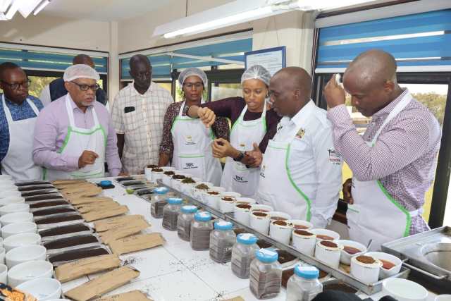 Strategic Tea Quality Improvement Program: The Pride of Kenyan Tea