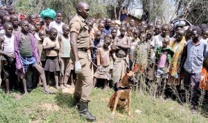 MURDER: 87 suspects arrested with aid from sniffer dogs