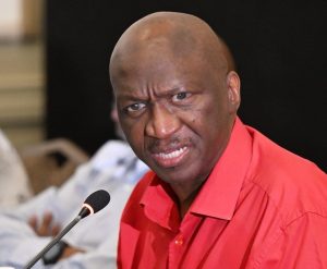 EFF sees RED as Fana Mokoena quits parliament, more to follow?