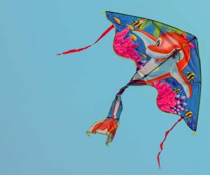 Flying high: Cape Town Kite Festival takes place this October