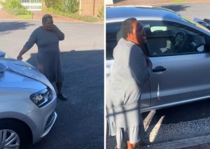 ‘We love you!’: Domestic worker gifted brand new car from employers [video]