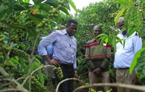 EU Market: Government registers 170,000 coffee farmers in new drive