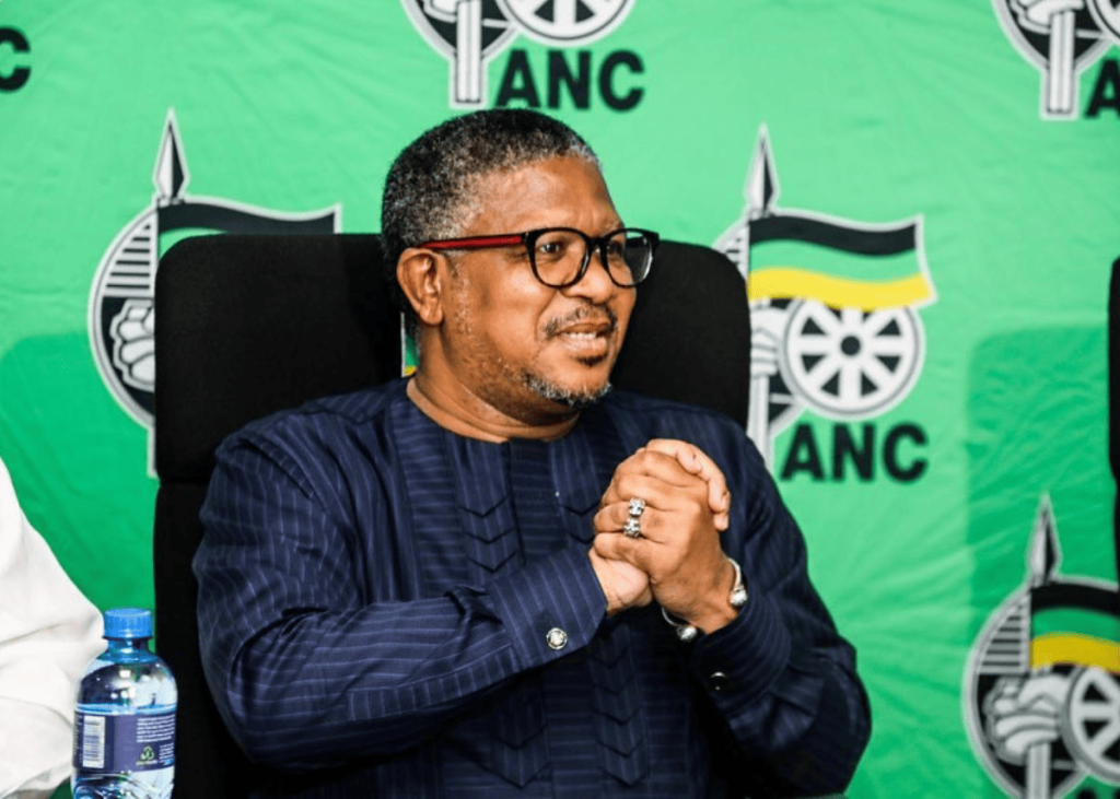 ‘ANC hates the GNU’: Fikile Mbalula admits