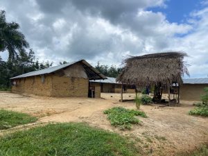 Liberia: Broken Promises: Bong Senator’s 600 Acres Land Deal Sparks Uproar in Todee’s Jocko and Beaseto Villages