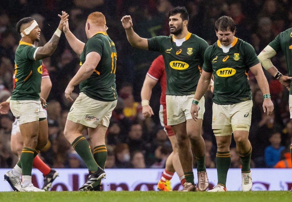 Springboks: TWO stars careers over? – UPDATE