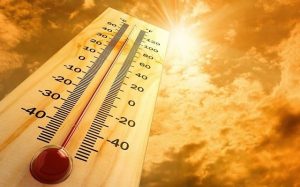 2024 poised to be hottest year on record