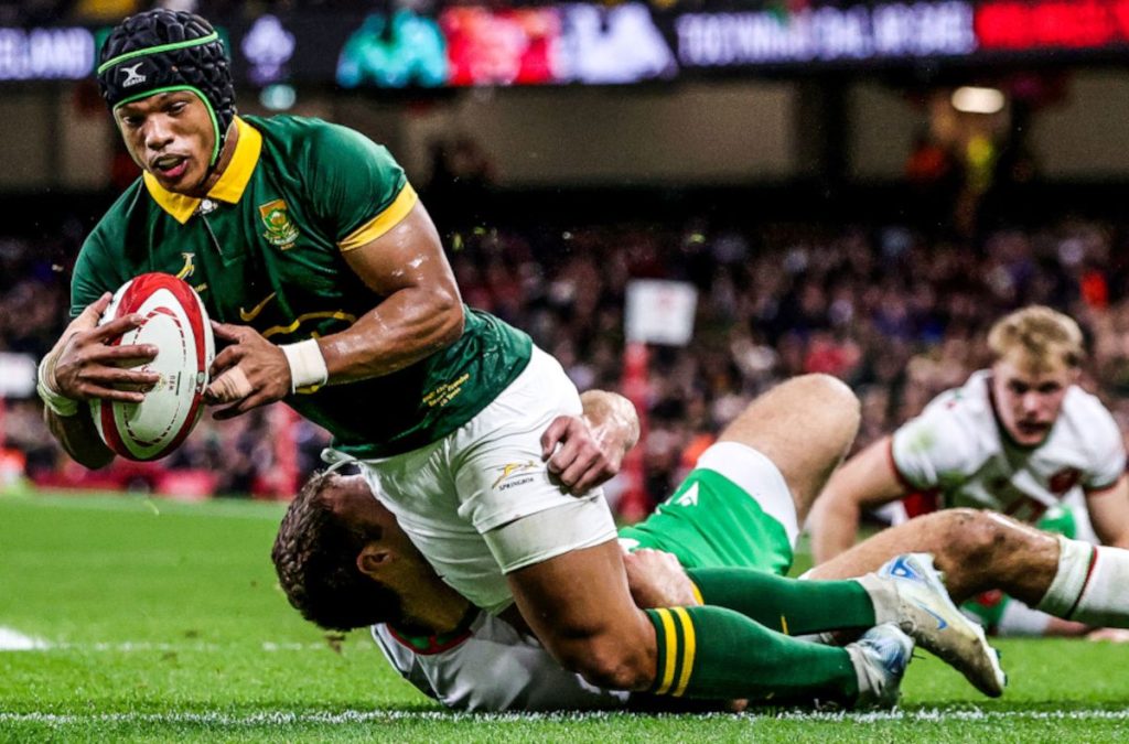 UPDATED World Rugby rankings after Springboks wallop Wales, All Blacks edge Italy