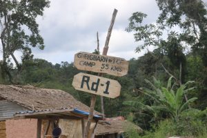 Liberia: Disappointed in Logging, Communities Look to Conservation   