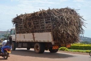 Review calls for overhaul of sugarcane sector