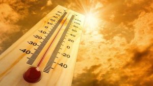 Heatwave in South Africa: Here’s how to protect yourself