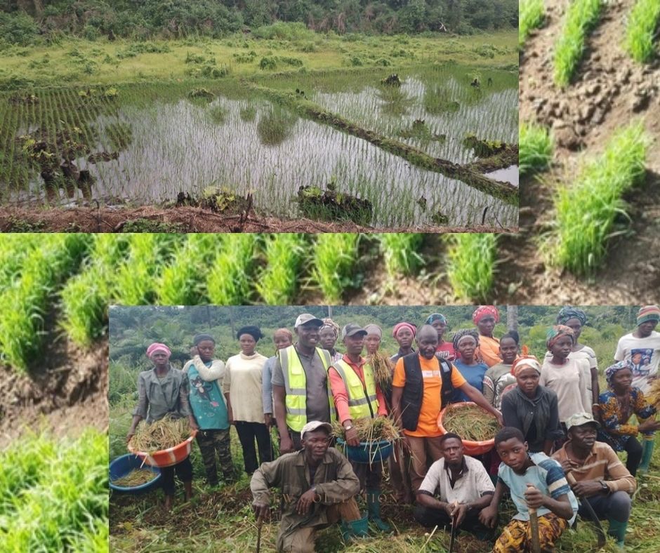 Community Forestry Management Team Monitors Lofa Project Sites