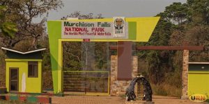 Suspect poachers cannot be traced in Murchison Falls National Game Park