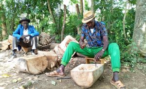 Efforts to revive Nyatiti, the Indigenous harp, underway